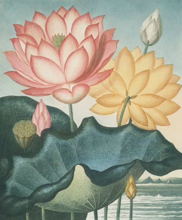 The Journey of Buddhism: From Ancient India to the Modern World