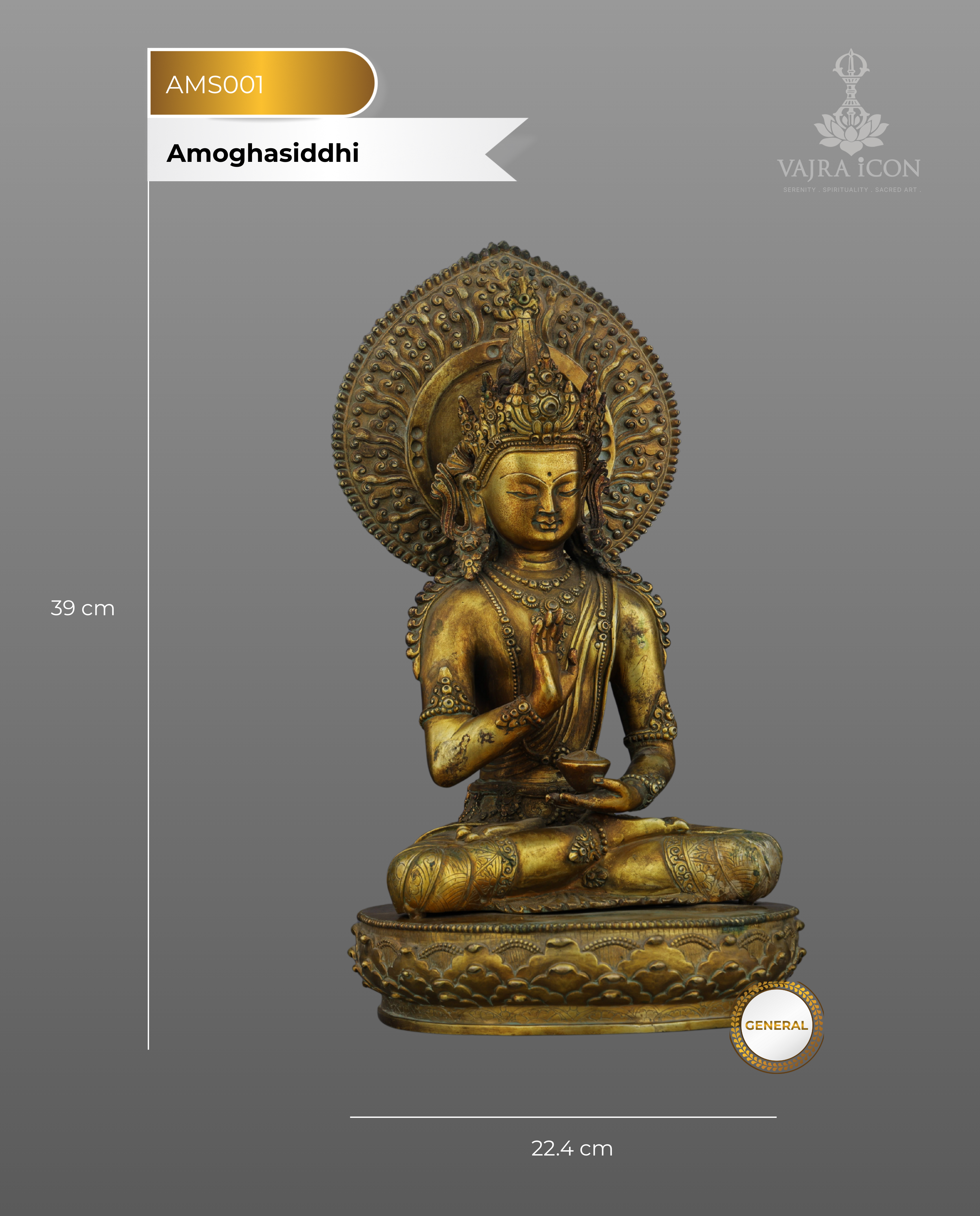Fearless Accomplishment | Majestic Antique Amoghasiddhi Buddha Statue