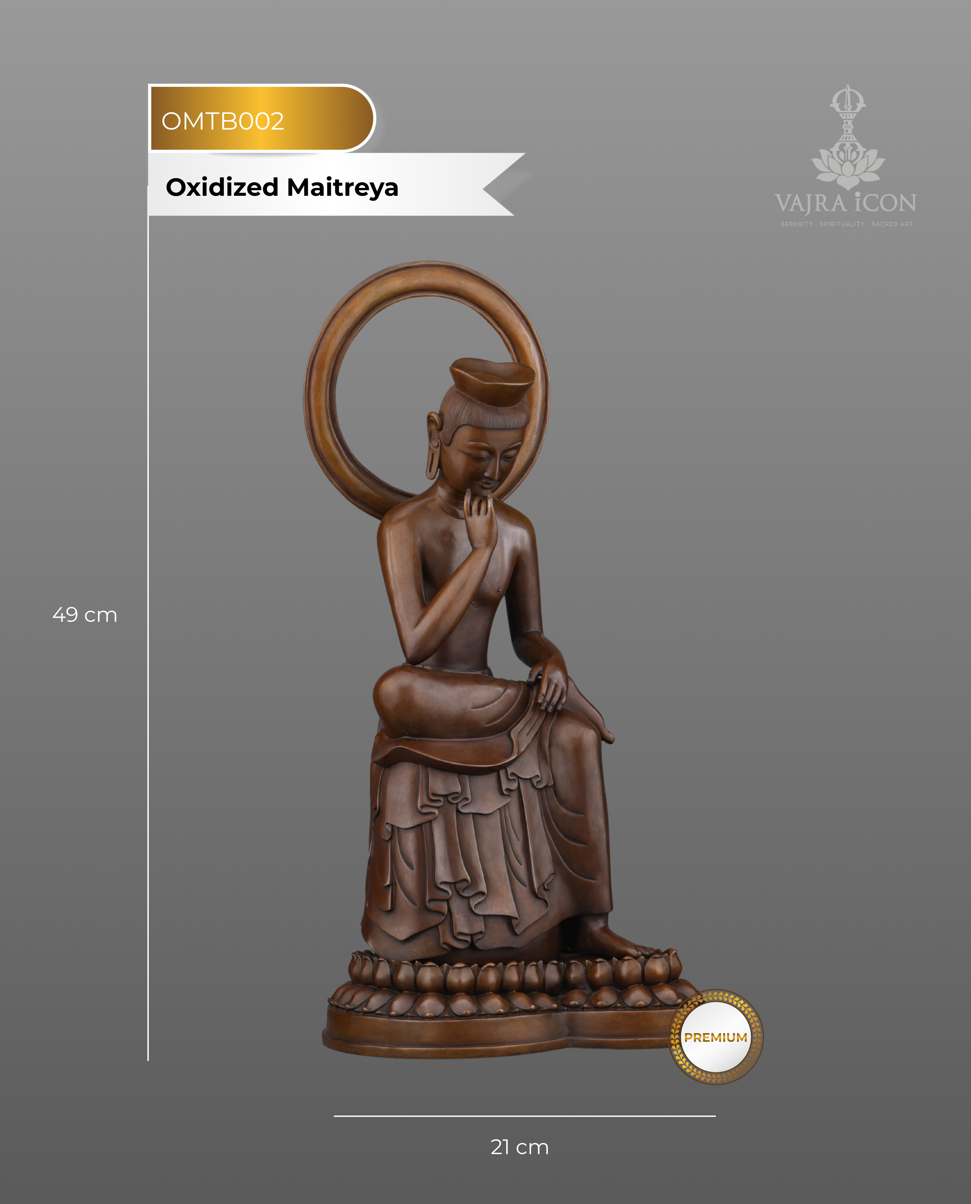 The Buddha of Tomorrow | Magnificent Oxidized Maitreya Statue
