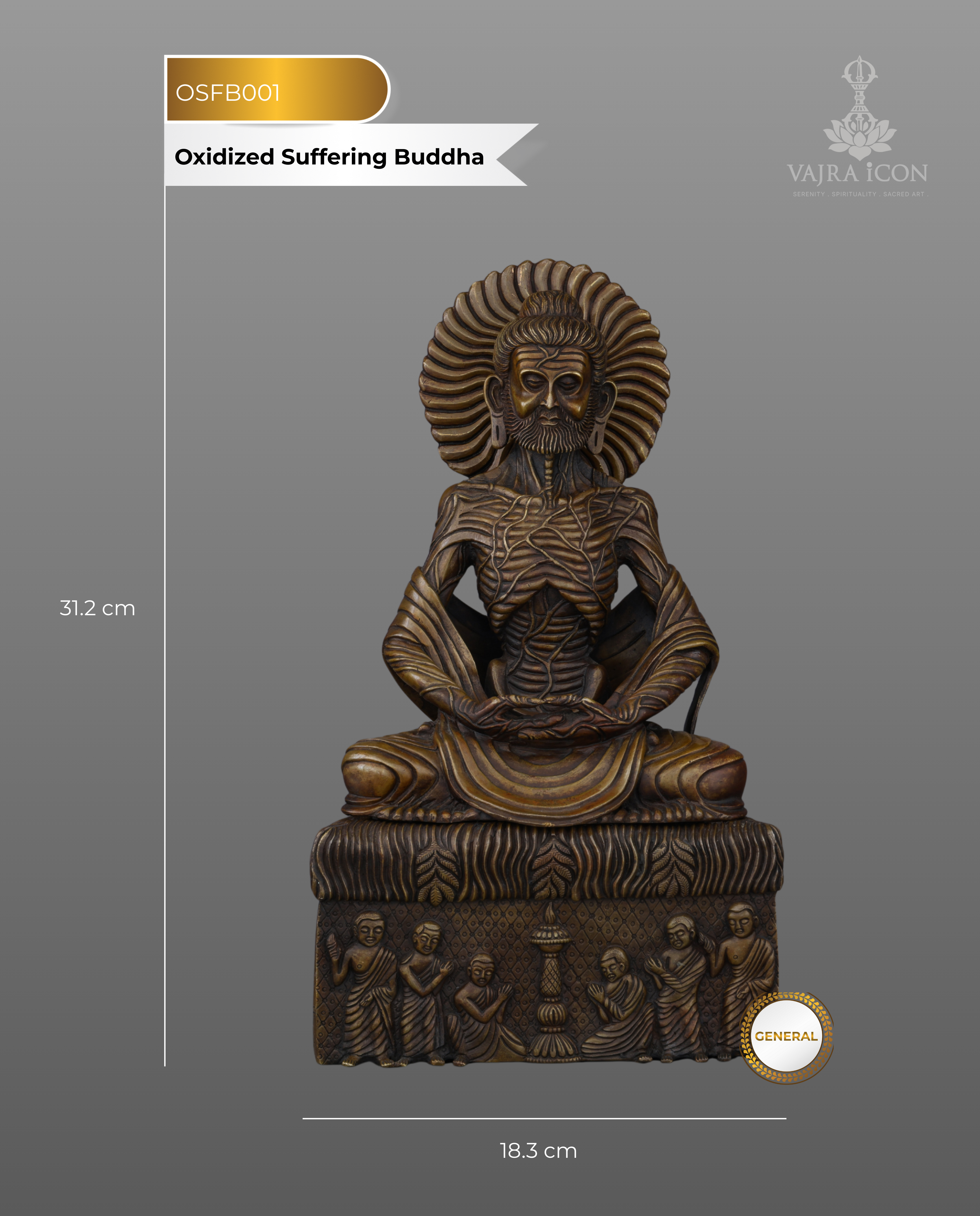 Emaciated Enlightenment | The Sacred Oxidized Suffering Buddha Statue